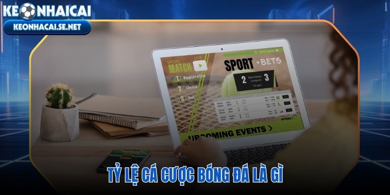 Odds dịch chuyển theo từng giờ phản ánh mọi thay đổi xung quanh trận